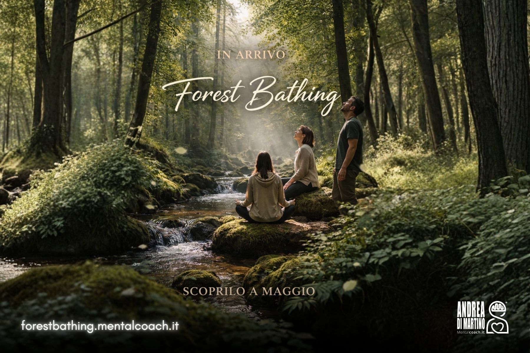 forest bathing