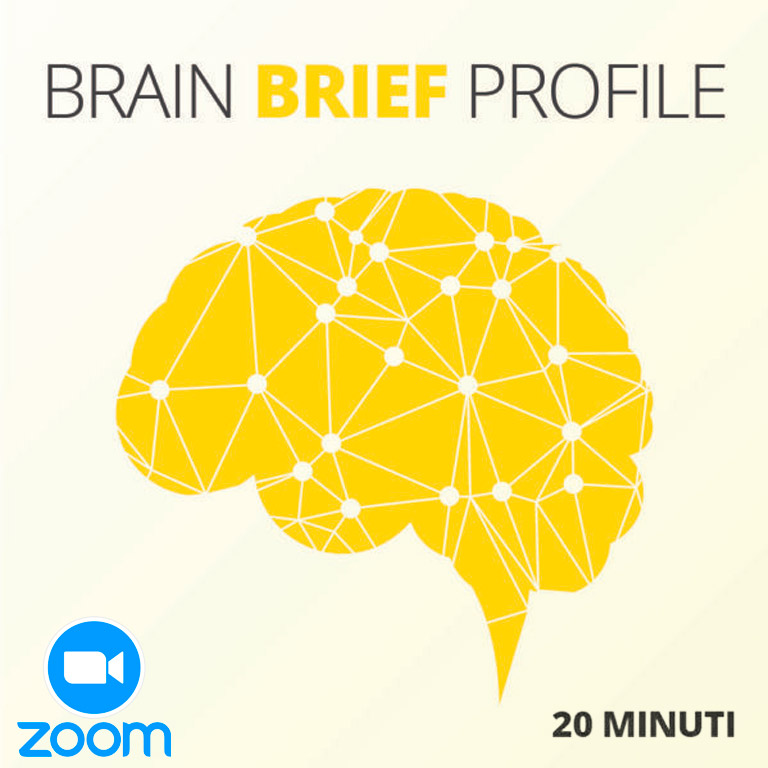 brain brief profile brain brief profile