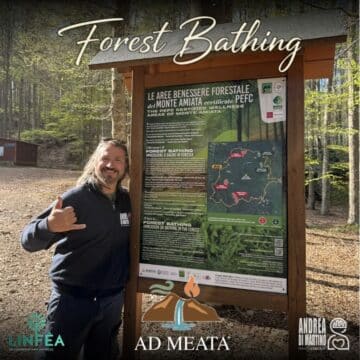 Forest Bathing AD Meata - Ricarica le tue Energie Mentali nella Natura!